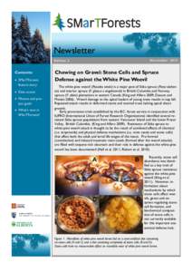 Newsletter November 2013 Edition 2  Contents: