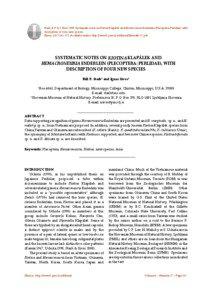 Stark, B.P. & I. Sivec[removed]Systematic notes on Kiotina Klapálek and Hemacroneuria Enderlein (Plecoptera: Perlidae), with description of four new species. Illiesia, 4(17):[removed]Available online: http://www2.pms-lj.si/illiesia/Illiesia04-17.pdf