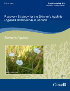 PROPOSED  Species at Risk Act Recovery Strategy Series  Recovery Strategy for the Skinner’s Agalinis