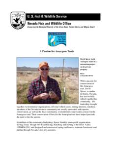 U. S. Fish & Wildlife Service Nevada Fish and Wildlife Office Conserving the Biological Diversity of the Great Basin, Eastern Sierra, and Mojave Desert A Passion for Amargosa Toads David Spicer holds