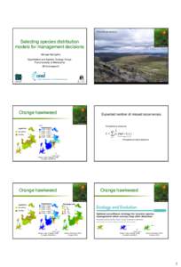 Pilosella aurantiaca  Selecting species distribution models for management decisions  Orchi, Wikimedia