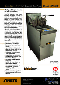Anets GoldenFry™ 14” Standard Gas Fryer Model 14GS.CS The high efficiency work horse for large volume frying The 439 stainless steel frypot p rovides remarkable recovery in conjunction with the unique crossfire burne