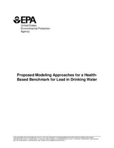 Proposed Modeling Approaches for a Health Based Benchmark for Lead in Drinking Water