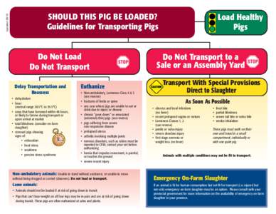 Updated[removed]SHOULD THIS PIG BE LOADED? Guidelines for Transporting Pigs  Do Not Load
