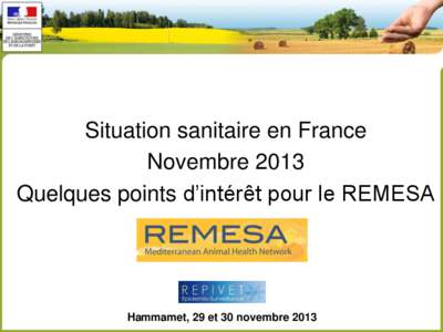 Situation sanitaire en France Novembre 2013 Quelques points d’intérêt pour le REMESA Hammamet, 29 et 30 novembre 2013