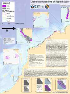 Distribution patterns of rippled scour Alexandra CD Davis, Pt. Reyes Monterey Bay