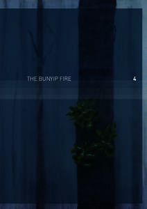 THE BUNYIP FIRE  4 Volume I: The Fires and the Fire-Related Deaths