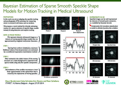 Bayesian Estimation of Sparse Smooth Speckle Shape Models for Motion Tracking in Medical Ultrasound MOTIVATION In this work, we aim at adapting the speckle tracking echocardiography (STE) technique for measuring strain i