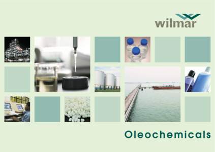 Wilmar Oleochemical and Biofuel Division Office Production Site and Storage Facility Wilmar International Limited, founded in 1991, is Asia’s leading agribusiness group. Wilmar is ranked among the largest listed