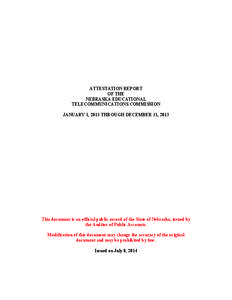 Blank Audit Report for Agencies