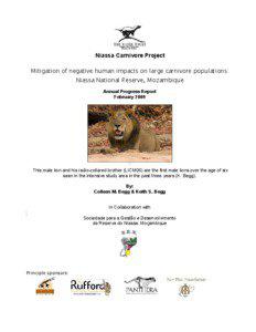 Niassa Carnivore Project Mitigation of negative human impacts on large carnivore populations: Niassa National Reserve, Mozambique