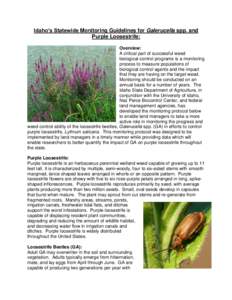 Idaho’s Statewide Monitoring Guidelines for Galerucella spp. and Purple Loosestrife: Overview: A critical part of successful weed biological control programs is a monitoring process to measure populations of