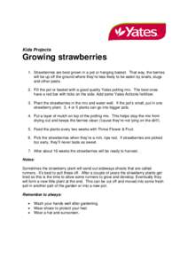 Microsoft Word - Growing Strawberries.doc