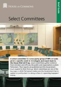 Brief Guide  Select Committees A select committee is a cross-party group of MPs or Lords given a specific remit to investigate and report back to