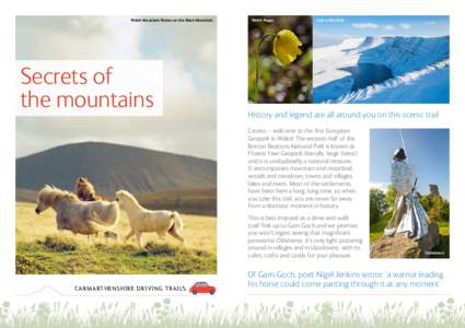 Welsh Mountain Ponies on the Black Mountain  Secrets of the mountains  Welsh Poppy