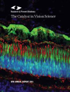 Research to Prevent Blindness  The Catalyst in Vision Science RPB ANNUAL REPORT 2011
