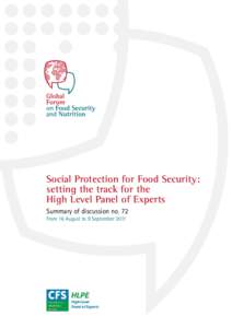 Social Protection for Food Security: setting the track for the High Level Panel of Experts Summary of discussion no. 72 From 16 August to 9 September 2011