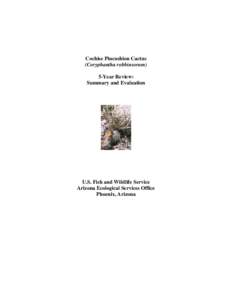 Flora of North America / Coryphantha / Escobaria robbinsiorum / Mammillaria / Cacti / Flora of the United States / Escobaria