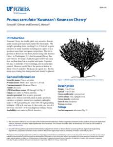 ENH-676  Prunus serrulata ‘Kwanzan’: Kwanzan Cherry1 Edward F. Gilman and Dennis G. Watson2  Introduction