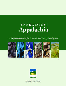 Energy policy / Energy development / Low-carbon economy / Peak oil / Energy industry / Sustainable energy / Efficient energy use / Energy crisis / Renewable energy / Energy economics / Energy / Technology