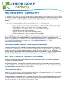 Prescribed Burns –Spring 2014 The Landscape Plan for the Rt. Hon. Herb Gray Parkway features an overall Carolinian theme, focusing on preservation, protection and expansion of Tallgrass Prairie ecosystems and Oak Savan