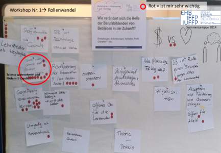 Workshop Nr. 1 Rollenwandel  Rot = Ist mir sehr wichtig Sommercampus 2014