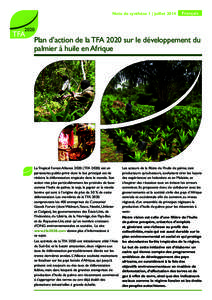 Note de synthèse 1 | juilletFrançais Plan d’action de la TFA 2020 sur le développement du palmier à huile en Afrique