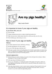 Agriculture / Domestic pig / Wild boar / Guinea pig / Pot-bellied pig / Zoology / Pigs / Biology