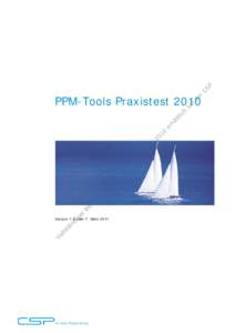 Microsoft Word - Bericht PPM-Tools Praxistest 2010.docx