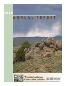 United States Department of the Interior / Bureau of Land Management / Wildland fire suppression / Sage Grouse / Noxious weed / WLCI / United States / Land management / Environment of the United States / Conservation in the United States