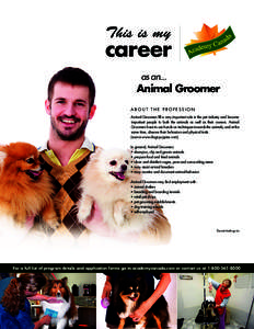 as an...  Animal Groomer ABOUT THE PROFESSION Animal Groomers fill a very important role in the pet industry and become important people to both the animals as well as their owners. Animal