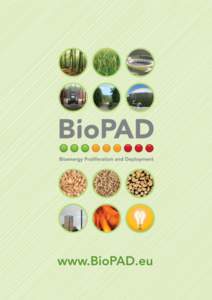 This document should be cited as: Sikanen, L., Nivala, M. & Prinz, RBioPAD: Socio-economic effects of the use of bioenergy. Available online from www.biopad.eu. Socio-economic effects of the use of bioenergy