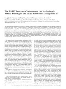 The TASTY Locus on Chromosome 1 of Arabidopsis Affects Feeding of the Insect Herbivore Trichoplusia ni1 Georg Jander,2 Jianping Cui, Betty Nhan, Naomi E. Pierce, and Frederick M. Ausubel* Department of Molecular Biology,