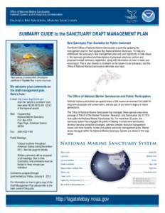 United States National Marine Sanctuary / Earth / Environment / American Samoa / Marine protected area / Samoan Islands / Tutuila / Marine conservation / Conservation / Oceanography / Fagatele Bay National Marine Sanctuary