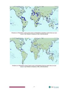 Prévalence du Phytophthora capsici (points jaunes) et Phytophthora citrophthora (points bleus) par pays (source: Crop Protection Compendium 2002, CAB International) Prévalence du Phytophthora heveae (points jaunes) et 