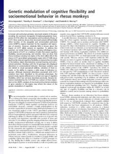 Genetic modulation of cognitive flexibility and socioemotional behavior in rhesus monkeys Alicia Izquierdo*, Timothy K. Newman†‡, J. Dee Higley‡, and Elisabeth A. Murray*§ *Laboratory of Neuropsychology, National 