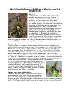 Idaho’s Statewide Monitoring Guidelines for Urophora cardui and Canada Thistle: Overview: A critical part of successful weed biological control programs is a monitoring process to measure populations of the biological 