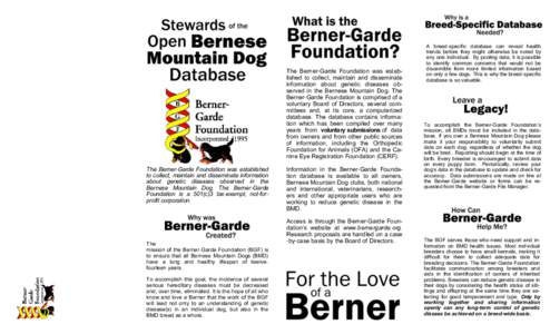 The Berner-Garde Foundation was established to collect, maintain and disseminate information about genetic diseases observed in the Bernese Mountain Dog. The Berner-Garde Foundation is comprised of a voluntary Board of D