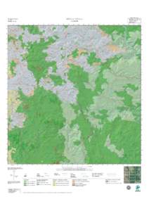 MILLAA MILLAA  Wet Tropics Bioregion 1:Vegetation Survey