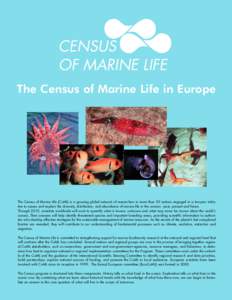 CENSUS OF MARINE LIFE The Census of Marine Life in Europe The Census of Marine Life (CoML) is a growing global network of researchers in more than 50 nations engaged in a ten-year initiative to assess and explain the div