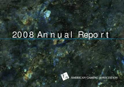 2008 Annual Report  AG A[removed]A n n u a l R e p o rt 1