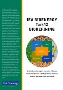 IEA Bioenergy is an international collaboration set-up in 1978 by the International Energy Agency (IEA) to improve international co-operation and information exchange between national bioenergy RD&D programmes. Its Visio