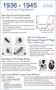 Yan Wei Lim & Andreas Haas! The History of Phage Research!  One-step Growth Experiment