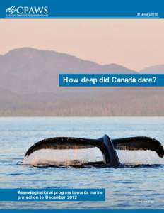 21 January[removed]How deep did Canada dare? Assessing national progress towards marine protection to December 2012
