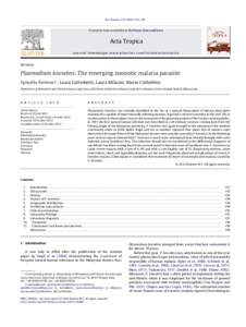 Plasmodium knowlesi: The emerging zoonotic malaria parasite