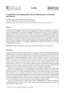 Zootaxa, A contribution to the Heptageniidae (Insecta, Ephemeroptera) of Thailand...
