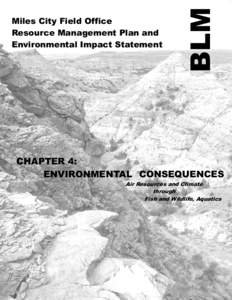 BLM  Miles City Field Office Resource Management Plan and Environmental Impact Statement