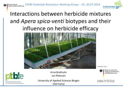 EWRS Herbicide Resistance Working Group – Interactions between herbicide mixtures and Apera spica-venti biotypes and their influence on herbicide efficacy