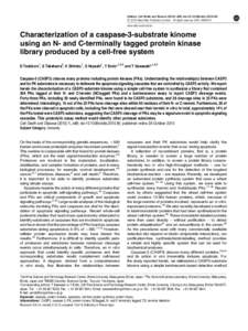 Characterization of a caspase-3-substrate kinome using an N- and C-terminally tagged protein kinase library produced by a cell-free system