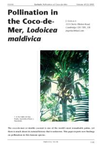Gerlach: Pollination of Coco-de-Mer  PALMS Pollination in the Coco-deMer, Lodoicea